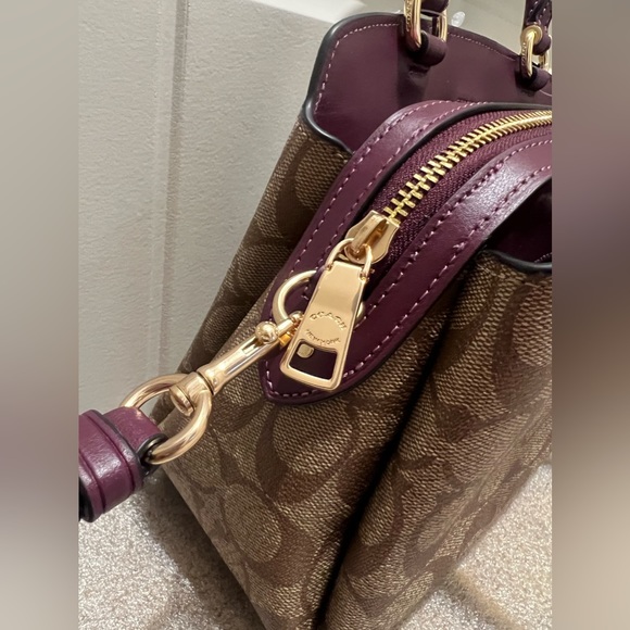 NWT Coach Minnie carryall - Picture 5 of 14